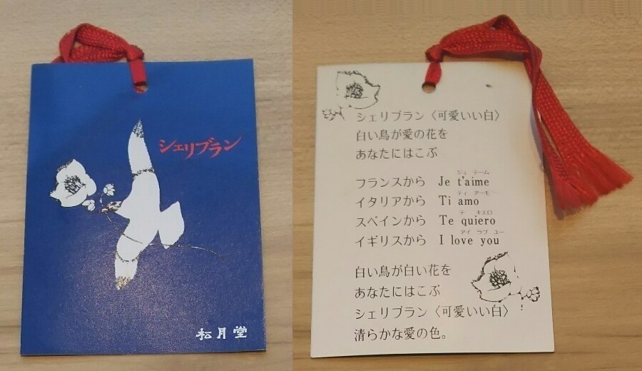 地球とはなにか その誕生と構造の謎をさぐる』 竹内均 （講談社